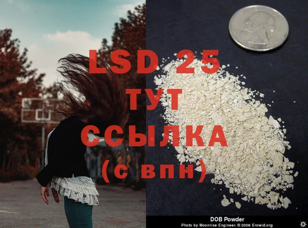 прущие грибы Богданович