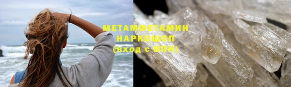 прущие грибы Богданович