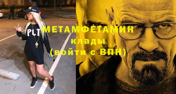 прущие грибы Богданович