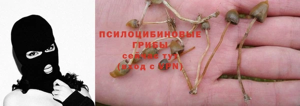 соль ск Ельня