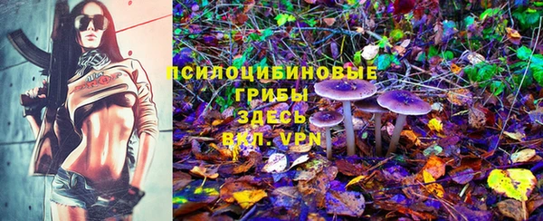 сатива Бугульма