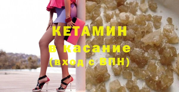 прущие грибы Богданович