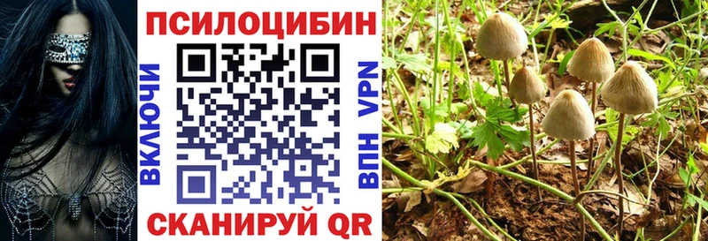 Псилоцибиновые грибы GOLDEN TEACHER  мега сайт  Беломорск 